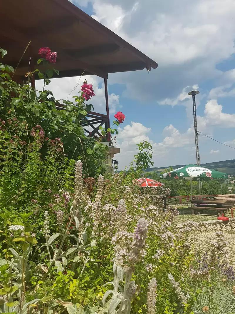 Cservák-ház Csesznek és Lovagvár Étterem – Étterem (Csesznek)