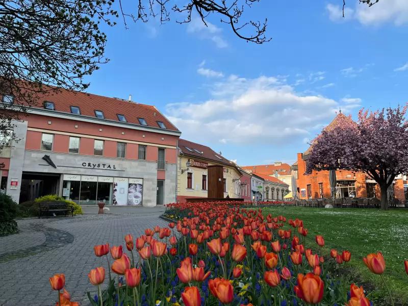 Aranygaluska Gyorsétterem – Étterem (Pécs)