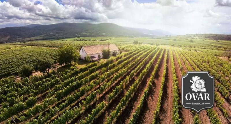 Óvár Borozó – Borbár (Tokaj)