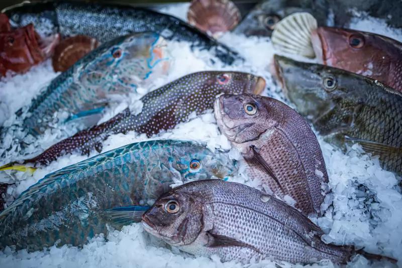 Budaörsi Halpiac, The Fishmonger – Delikát (Budaörs)