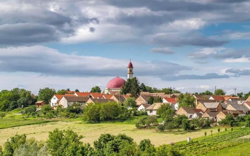 PalKonyha, Panzió, Speiz, Pékműhely – Borászat/Pincészet (Palkonya)