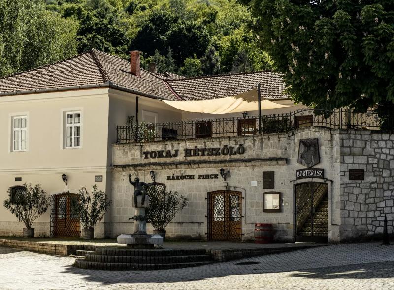 Rákóczi Pince és Udvarház Tokaj – Borászat/Pincészet (Tokaj)