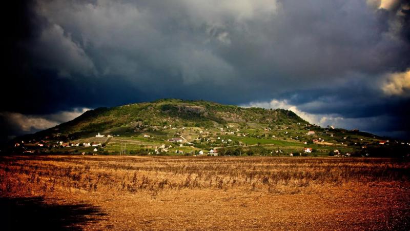 Somlói Apátsági Pince – Borászat/Pincészet (Somlóvásárhely)