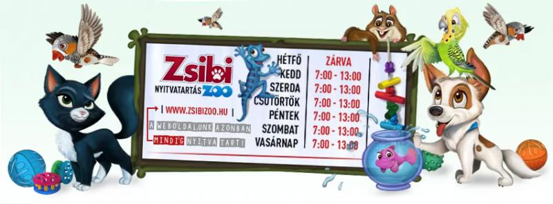 Zsibizoo – Bár (Debrecen)