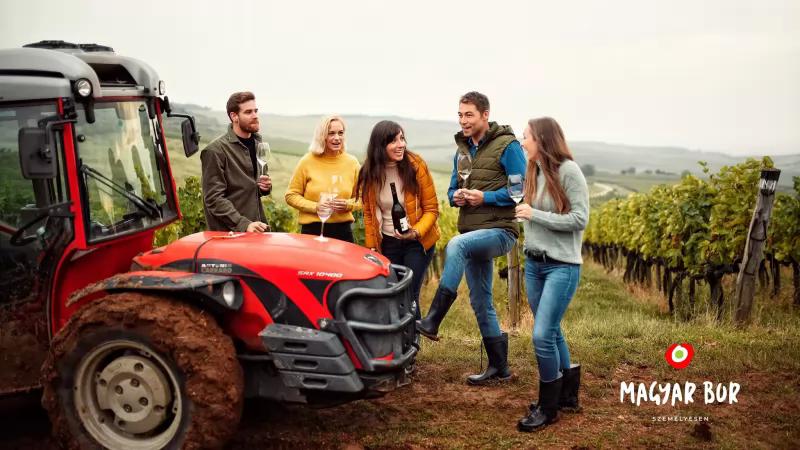 barta pince – Bár (Mád)