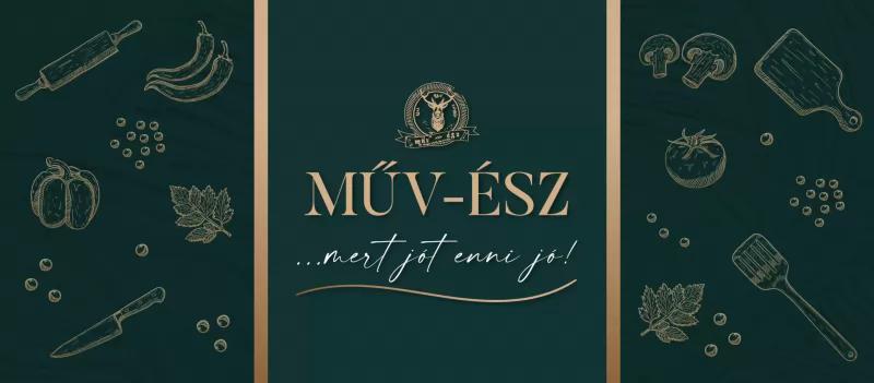 Műv-ész – Bár (Biri)