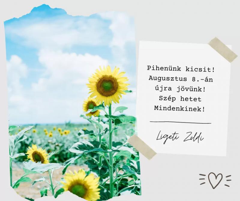 Ligeti zöldi – Delikát (Pilisvörösvár)