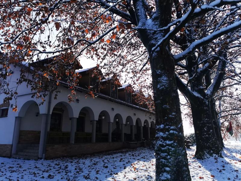 Lovasbarát Fogadó Győrújbarát – Bár (Gyorujbarat)