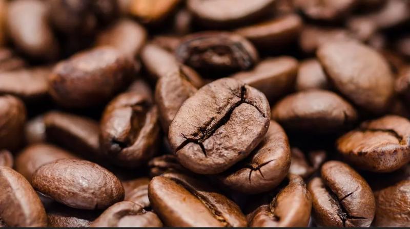 Beango Coffee Roasters / Budapest – Kávézó (Budapest, I. kerület)