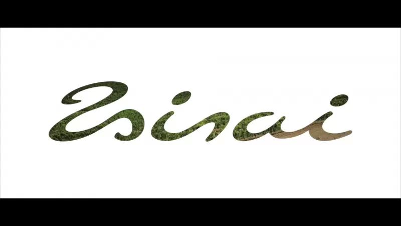 Zsirai Pincészet – Borászat/Pincészet (Mád)