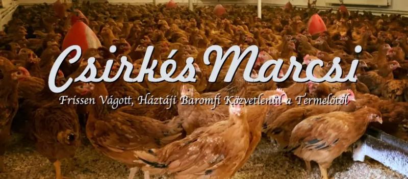 CsirkésMarcsi – Hentesbolt (Budapest, XXI. kerület)
