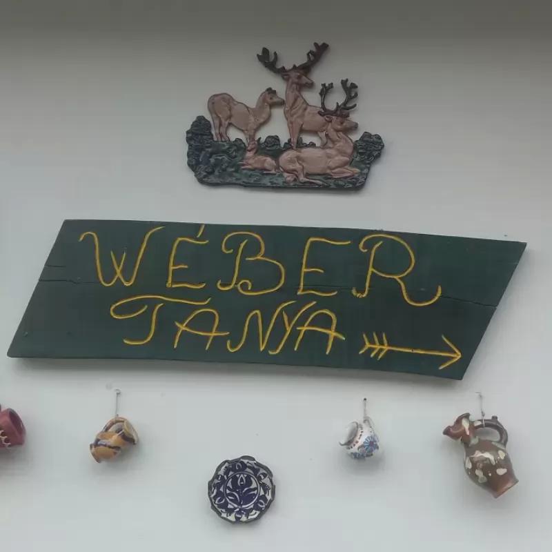 Wéber Tanya – Étterem (Kecskemét)
