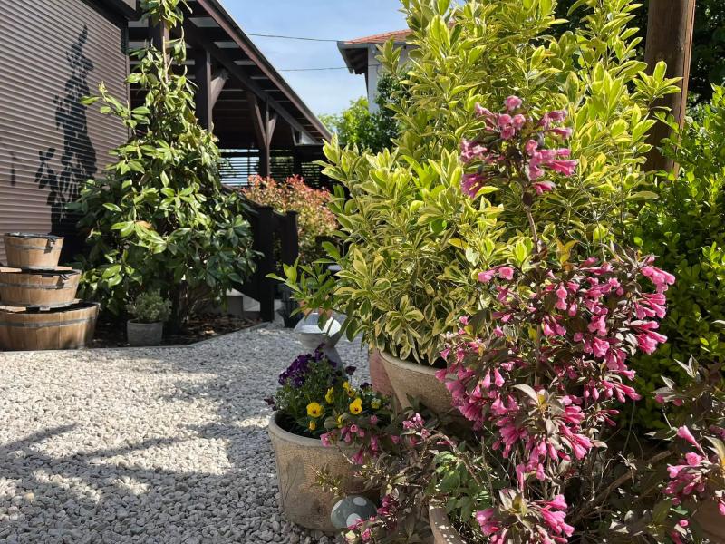 Fresh garden, Béke tér – Fagyizó (Budapest, XVIII. kerület)