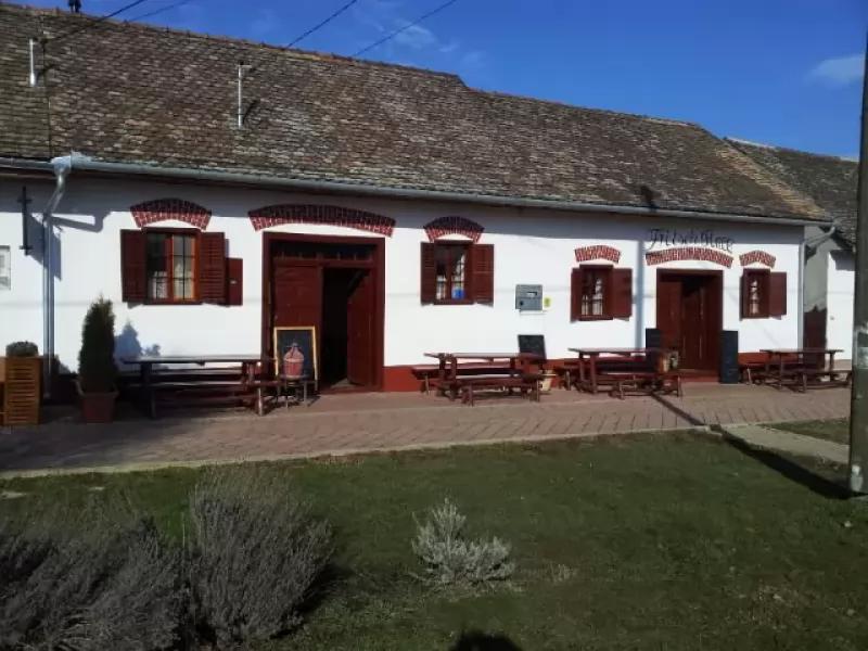 Fritsch Pince – Borászat/Pincészet (Villány)