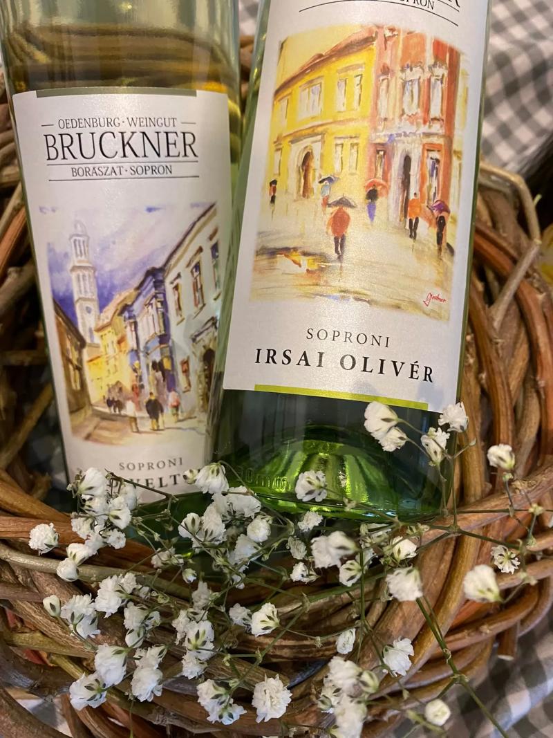 Bruckner Borászat – Delikát (Sopron)