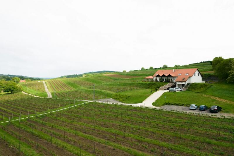 Attila Birtok – Borászat/Pincészet (Szekszárd)