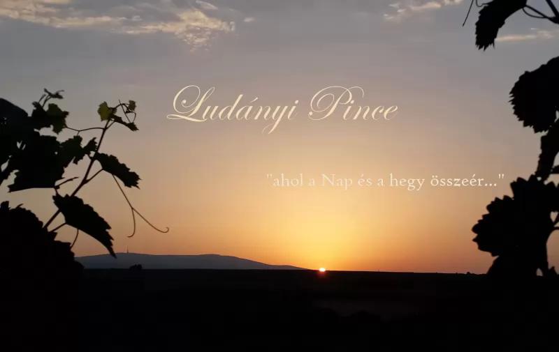 Ludányi Pince – Borászat/Pincészet (Gyöngyöstarján)