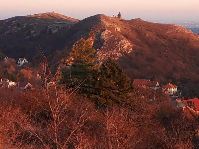 Vega.angyalfalat – Gluténmentes étterem (Budaörs)