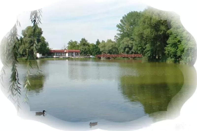 Tó Vendéglő - Ajka – Vendéglő (Ajka)