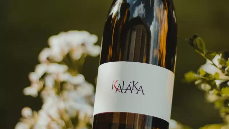 Kaláka Pince – Borászat/Pincészet (Tállya)
