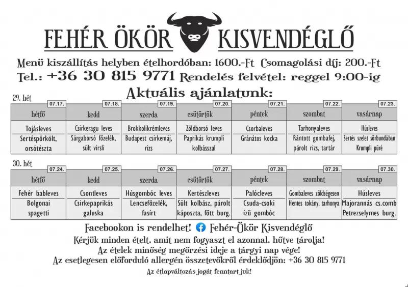 FEHÉR ÖKÖR Kisvendéglő – Vendéglő (Ózd)