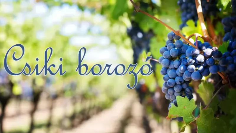 Csiki Borozó – Borbár (Szolnok)