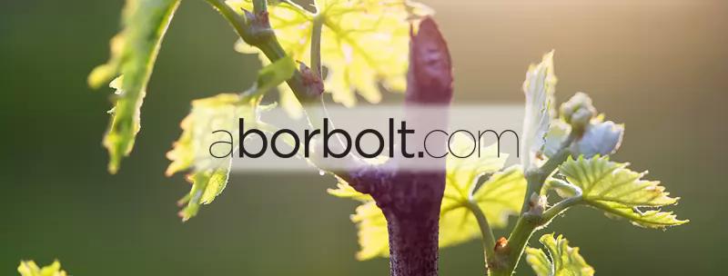 aborbolt.com – Borászat/Pincészet (Budapest, II. kerület)
