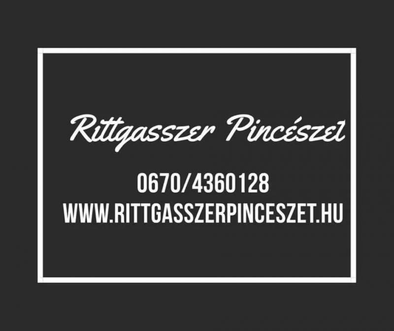 Rittgasszer Pincészet Nemesnádudvar – Borászat/Pincészet (Nemesnádudvar)
