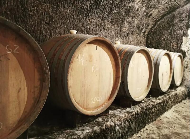 Majnár Gergely Winery – Borászat/Pincészet (Bogács)
