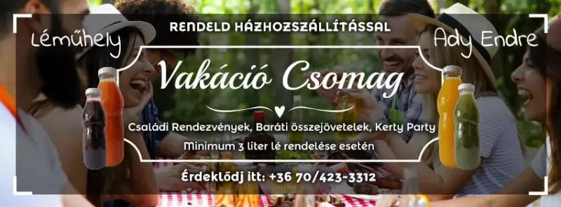 Léműhely – Gyümölcslé bár (Budapest, IX. kerület)
