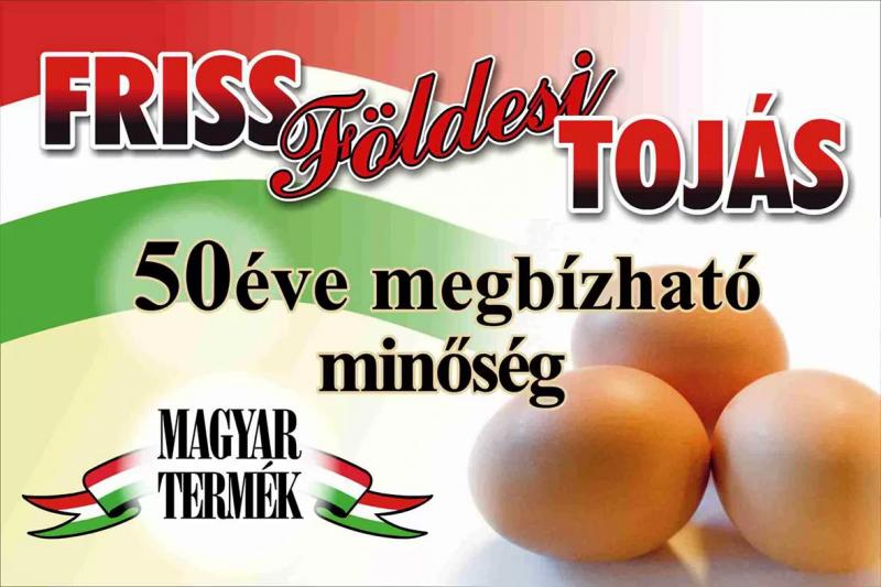 Földesi Tojás – Büfé (Nyíregyháza)