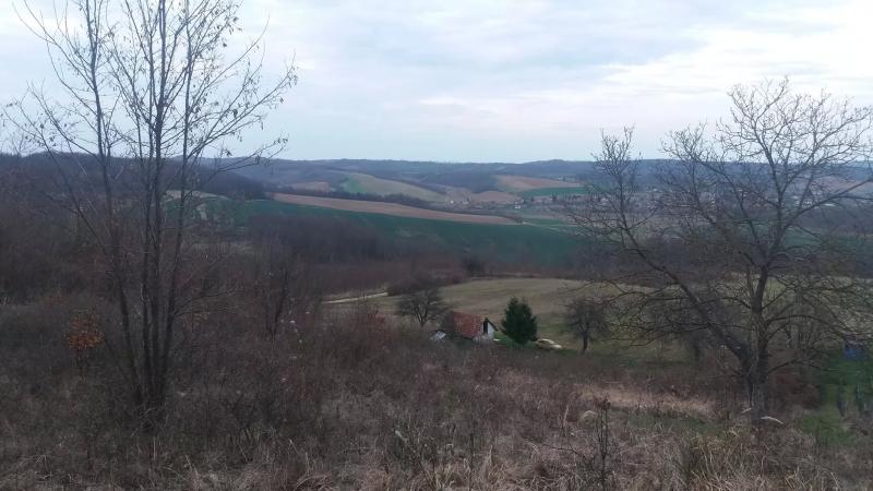 Mindszentgodisa - Szőlőhegy – Borászat/Pincészet (Mindszentgodisa)