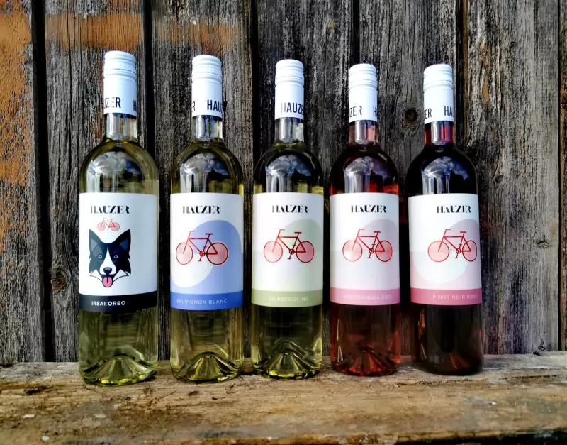 Hauzer Bormanufaktúra – Borászat/Pincészet (Baj)