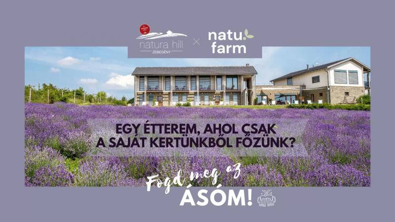 Natura Hill Zebegény – BBQ (Zebegény)