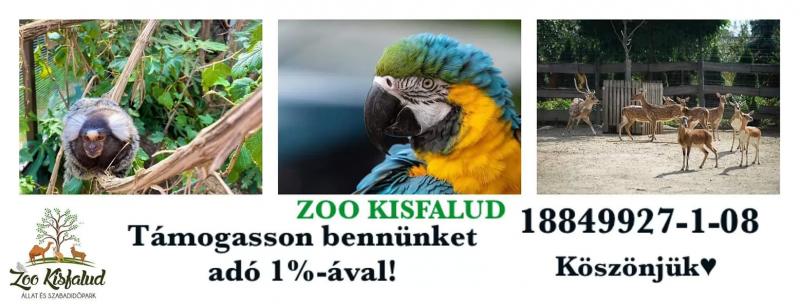 Zoo Kisfalud – Büfé (Kisfalud)