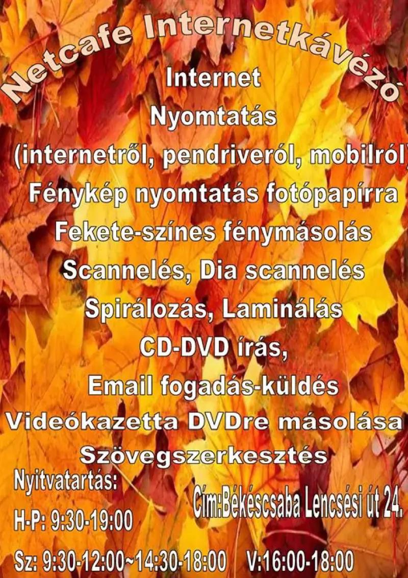Netcafe Internetkávézó – Kávézó (Békéscsaba)