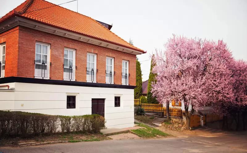 Borostyán Pince – Borászat/Pincészet (Tokaj)