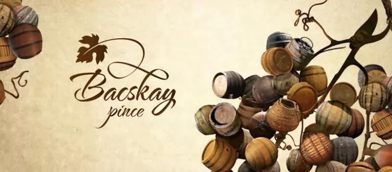 Bacskay Pince – Borászat/Pincészet (Sopron)