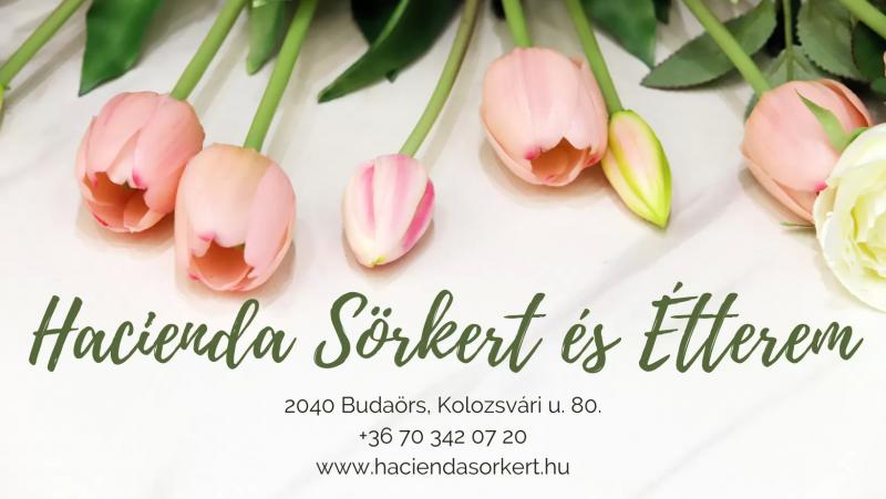Frank-hegy Étterem és Panzió – Étterem (Budaörs)