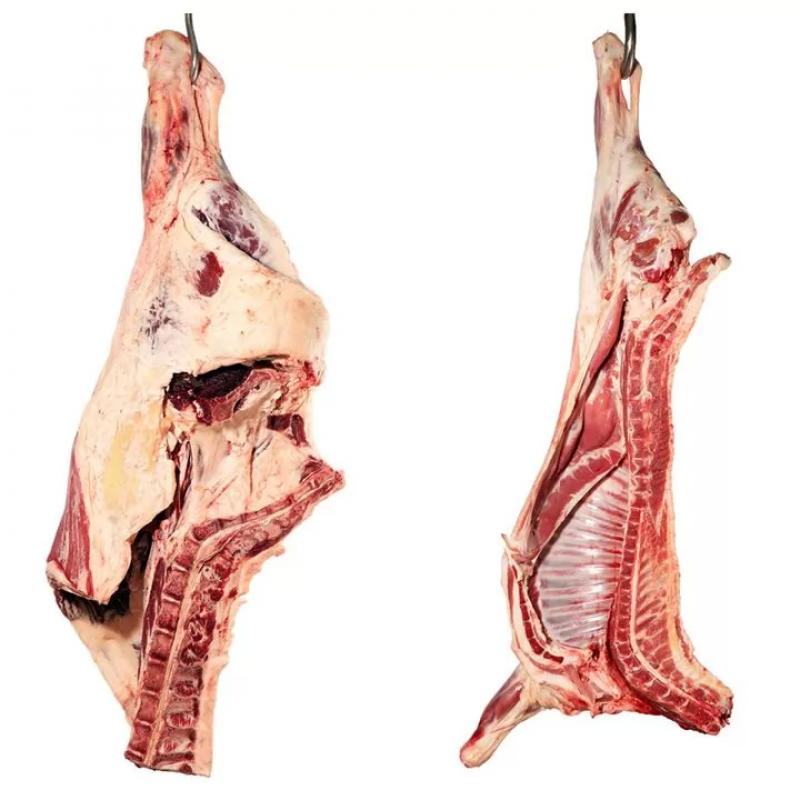 Eco-Meat Kft – Hentesbolt (Nádudvar)
