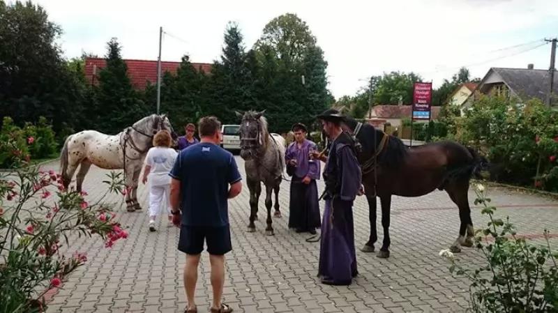Kéktó Kemping És Rózsakert Vendéglő – Étterem (Gyékényes)