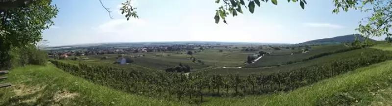 Heumann Pince Wine Bar – Borászat/Pincészet (Villány)