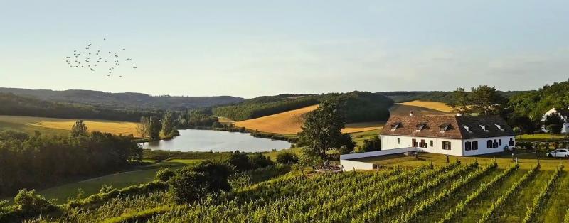 Matievics Borászat és Vendégház – Borászat/Pincészet (Szálka)