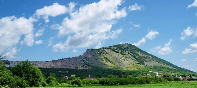 Kovács Pince és Apartman – Borászat/Pincészet (Nagyharsány)