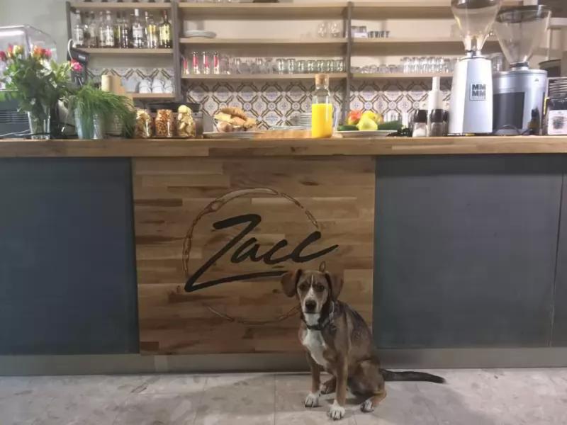 Zacc kávé és bistro – Bisztró (Gyor)