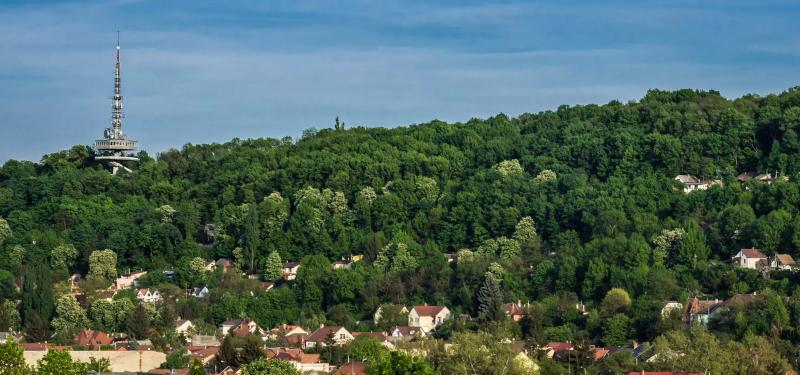 Margit Pince – Borászat/Pincészet (Miskolc)