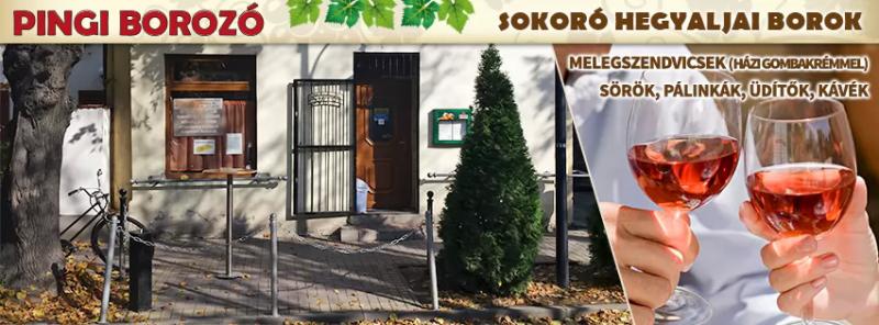 Pingi Borozó – Borbár (Mosonmagyaróvár)