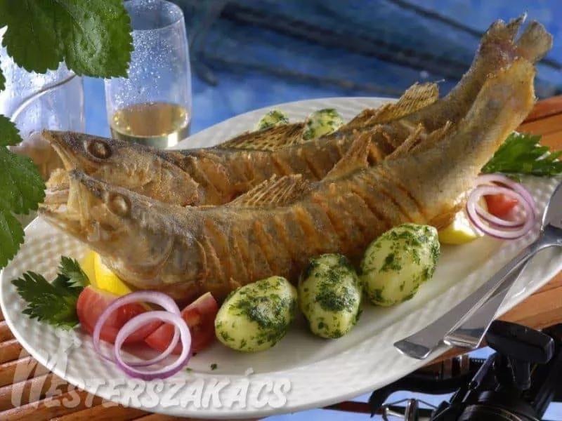 Ezüstpikkely halsütő – Étterem (Kecskemét)