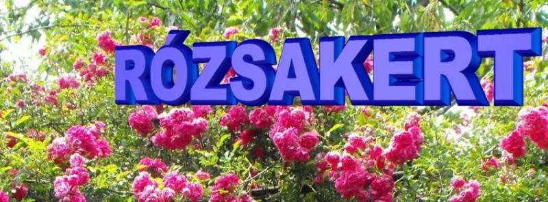 Rózsakert Pécs – Bár (Pécs)