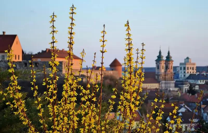 Royal Söröző – Kocsma (Eger)